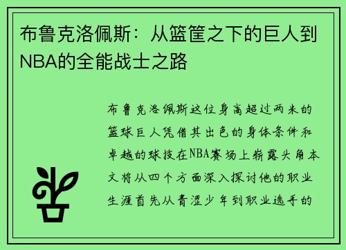 布鲁克洛佩斯：从篮筐之下的巨人到NBA的全能战士之路