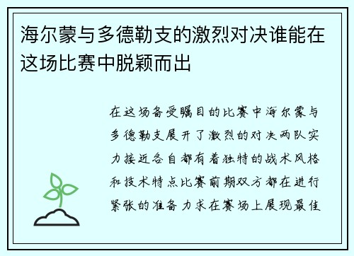 海尔蒙与多德勒支的激烈对决谁能在这场比赛中脱颖而出