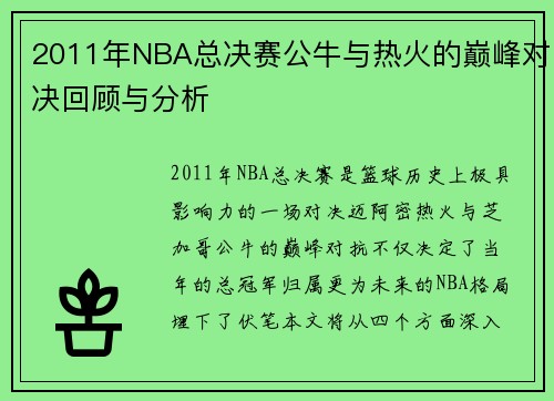 2011年NBA总决赛公牛与热火的巅峰对决回顾与分析