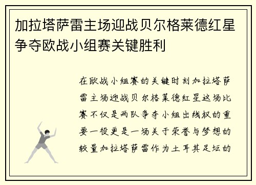 加拉塔萨雷主场迎战贝尔格莱德红星争夺欧战小组赛关键胜利